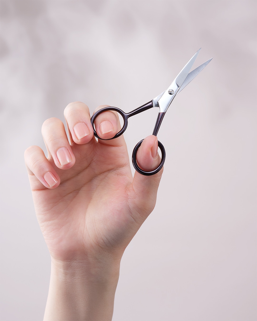 アナスタシアミアレ シザー